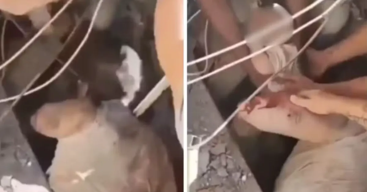 Mãe e bebê são encontrados vivos sob escombros após terremoto na Colômbia; vídeo
